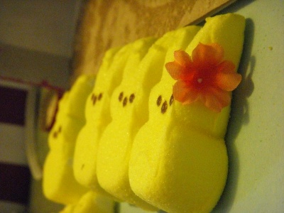 AZ added this lovely detail for a Peep diorama